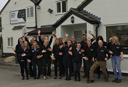 Wrok for LLM Farm Vets