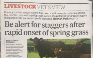 Grass Staggers