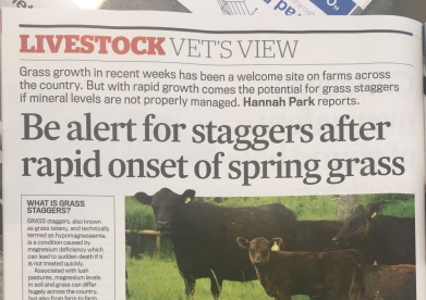 Grass Staggers