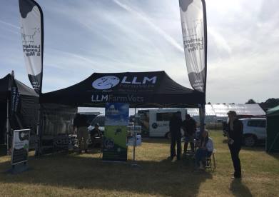 LLM Farm Vets Derbyshire