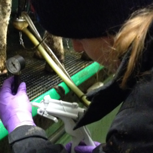 Precision Milking Research