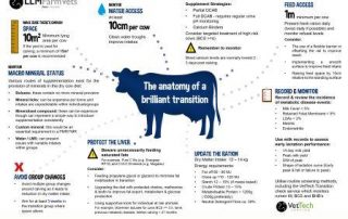 The anatomy of a brilliant transition