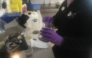 Faecal Worm Egg Counts