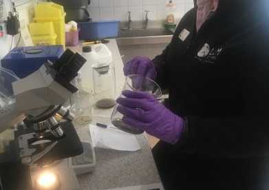 Faecal Worm Egg Counts