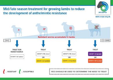 Mid to Late Lamb Worm Treatment (Web)]