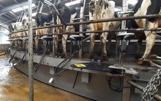 Milk with confidence