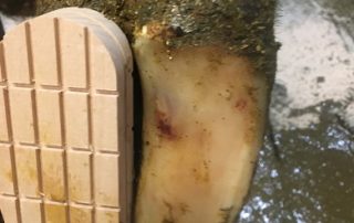 The Cost of Lameness