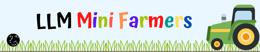 LLM Mini Farmers