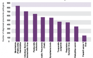 Pneumonia Surveillance Data - APHA