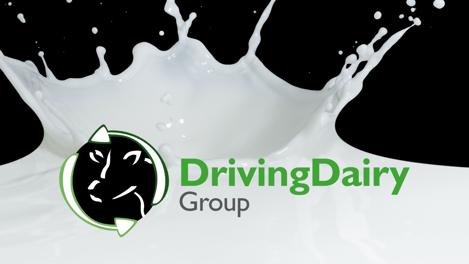 Driving Dairy Discussion Group