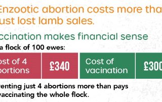 Cost benefit of enzootic abortion vaccination