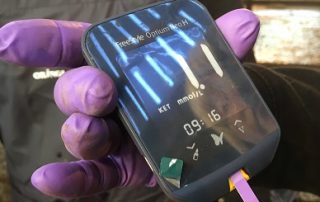 Ketosis on farm