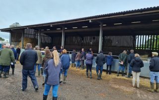 Farm Walk at Redferns