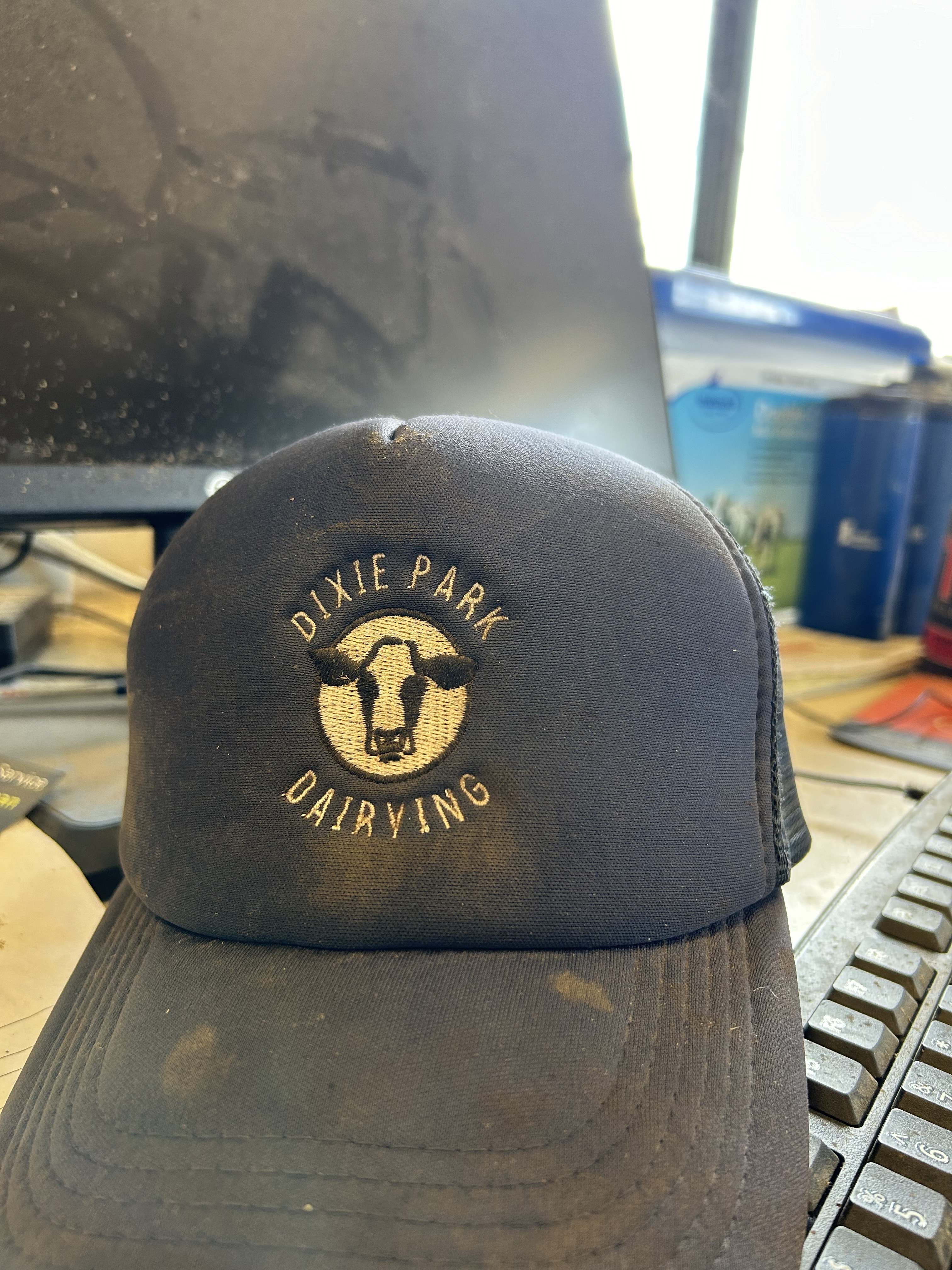 A team with an aligned vision yielded results at Dixie Park dairying