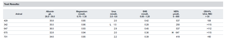 Picture4 – Metabolic Profiling